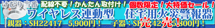 �p�i�\�j�b�N�d�H�Z��p�΍Е�m�����