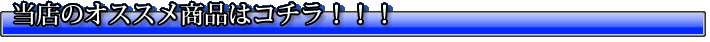 �I�X�X���������i